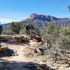 The Wire Mesa Loop offers some not too technical stuff that's plenty of fun to play on.