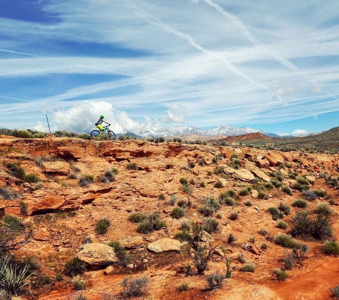 Grapevine is a great trail system with plenty of scenic vistas.