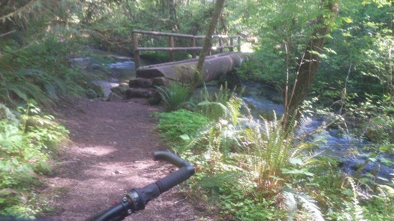 You're going to want to walk this log bridge! Be careful, as the wood can sometimes be slippery.