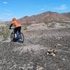 A rider dropping into the west entrance to "Ryan's High Side" a reclaimed section of Ryan's Trail that had fallen out of use.