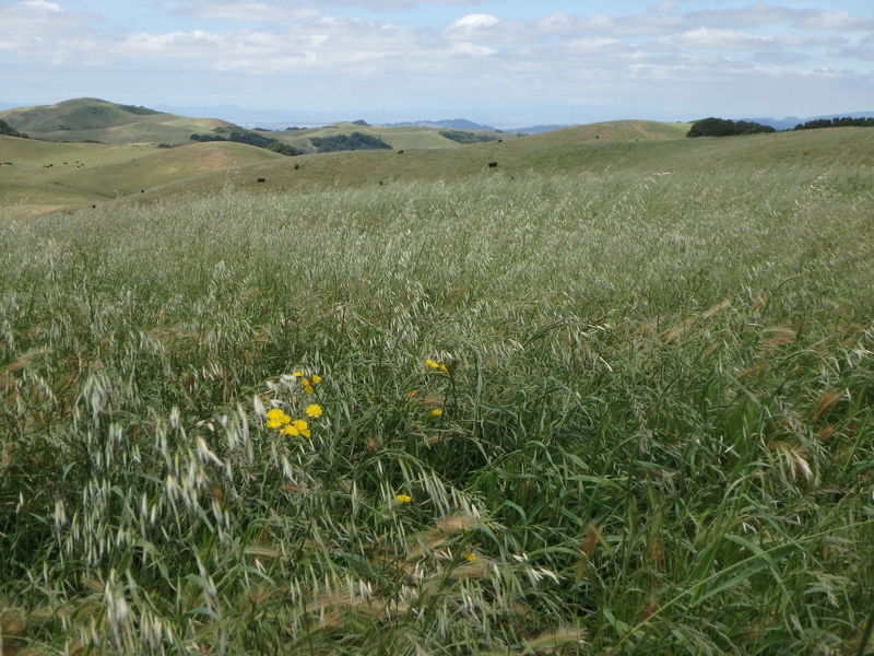 The northern part of the park feels like the middle of nowhere. Views abound!