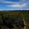 The Fisher Creek trail is such a great off the beaten path singletrack. Sopris from the meadow