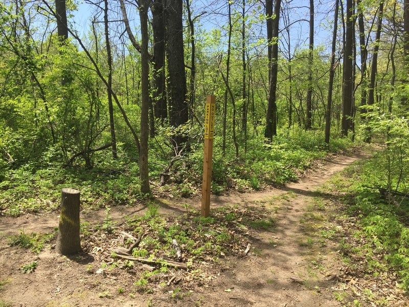 It's always great to see the trails green up in the beginning of spring!