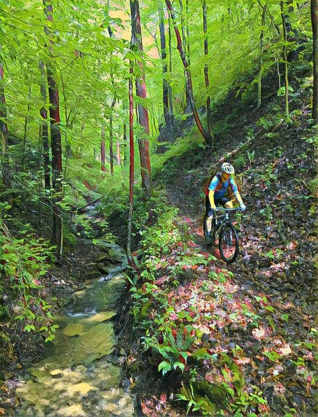 Descending into Cave Run brings plenty of leaves and gorgeous surroundings.