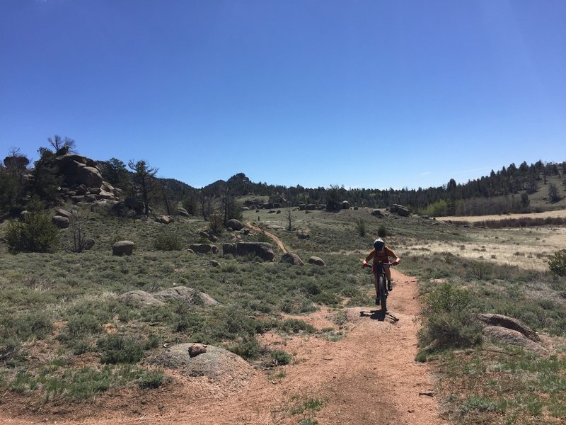 A rider cranks up Cow Trail on a bluebird day.