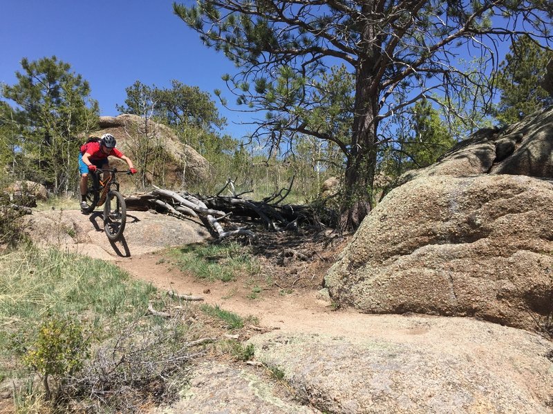 Tyler rolls one of the easy drops in a Stone Temple Play Area just off trail.