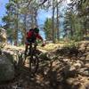 A rider hits a fun drop on El Alto.