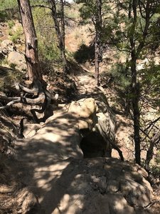 A technical rock bridge will give riders plenty to focus on.