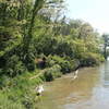 View from the Lakeview Trail, looking west from the end of the lake along the trail as it follows the shore.