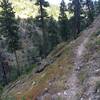 Coming down the lower section of Blue Buck Ridge. Watch out, It's really steep and narrow!