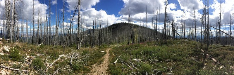 Looking back south at Starvation Mountain. Chunky rocky descent from summit to Blue Buck Ridge cutoff.