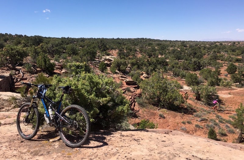 Short, punchy climbs, drops and switchbacks get riders up and down the different 'layers' of geology here.