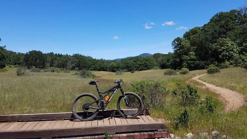 One of the many meadows along the Ridge Trail. It may look smooth here but there is plenty of rock mixed into the singletrack.