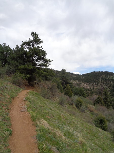 Making the ascent on the Parmalee Trail.