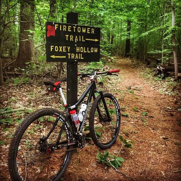 The Foxey Hollow and Fire Tower Trail intersection.