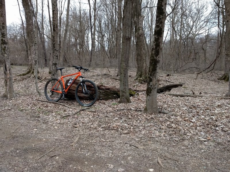 Early spring riding in the Jordan Creek Parkway.