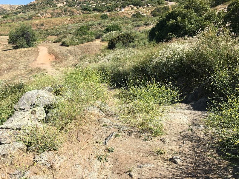 The South Side Trail has just a few rocks to drop or walk down!