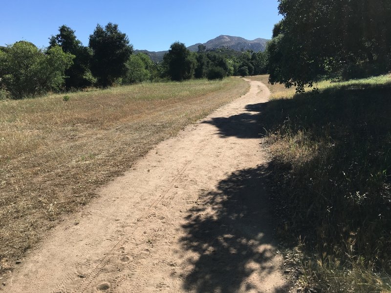 The West Side Trail is fast and smooth!