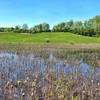 Rolling hills and wetlands abound along the D&H Rail Trail between Castleton and Poultney.