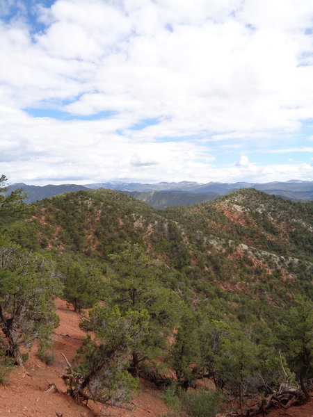 A scenic view to the south off of Zeni's Trail.