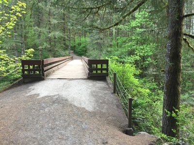 This bridge crossing soon leads to the start of the Bells Mountain Trail.