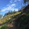 The first clearing on the Bells Mountain Trail.