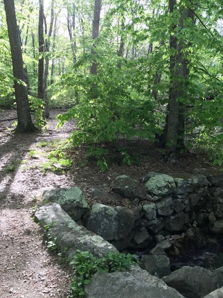 The Blue Trail continues here, just after this rocky ditch. Easy to miss if you're not careful.