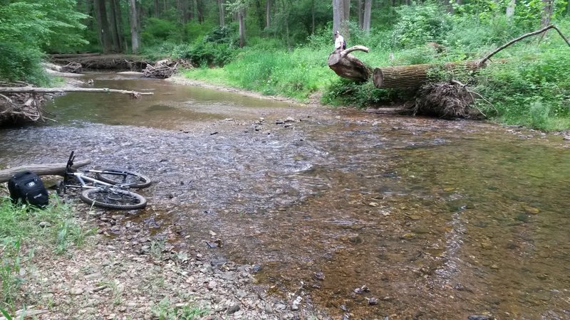 A pretty smooth stream crossing. The trail continues by the logs on the other side.