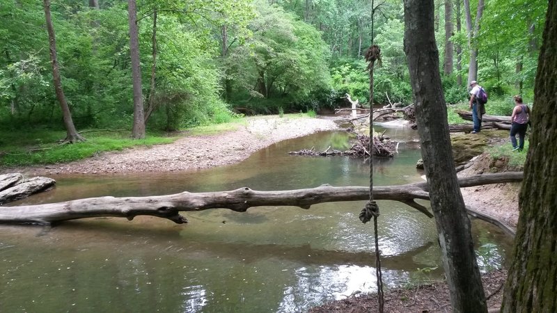 A rope swing and swimming hole if your looking for a cool down option during your ride.