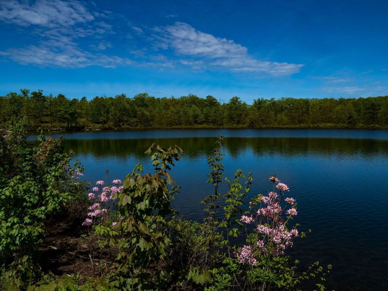 A view across the O'Conner Reservoir.