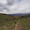 The narrow singletrack of Easy Rider flies by during a fast descent.