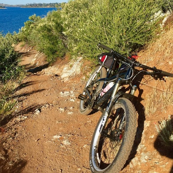 One of the nicer sections along the Coyote Point Trail.