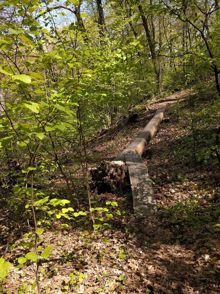 A nice little skinny with an access ramp on the C Loop.