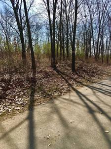 Shot of the sunset across part of the paved trail.