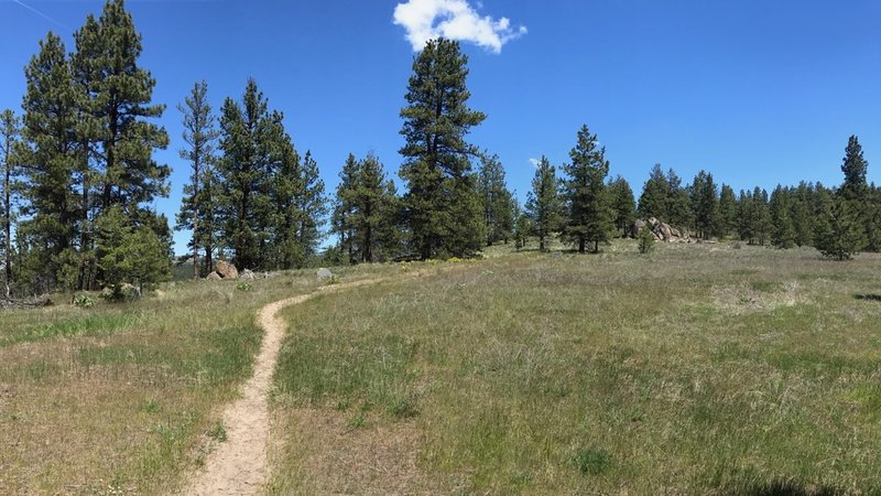 Approaching the section that will overlook Willow Springs creek to the left