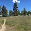 Approaching the section that will overlook Willow Springs creek to the left