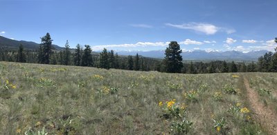 One of the views facing southwest from the North Calf Creek trail.
