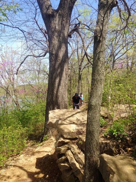 A rock outcropping along the Pulpit Trail.