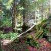 Riders pass a rock formation on the Fork Mountain Trail in early Fall. Photo by Mike Boyes.