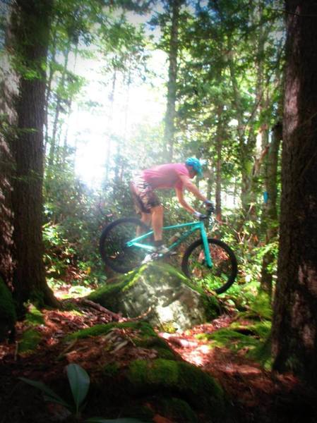 Boulder hopping on the Fork Mountain Trail.