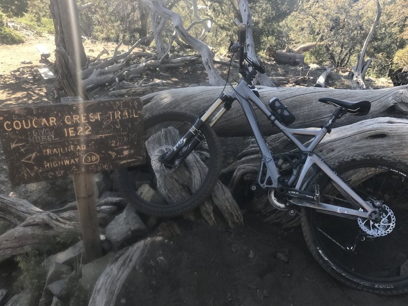 A well-worn Cougar Crest Trail sign.