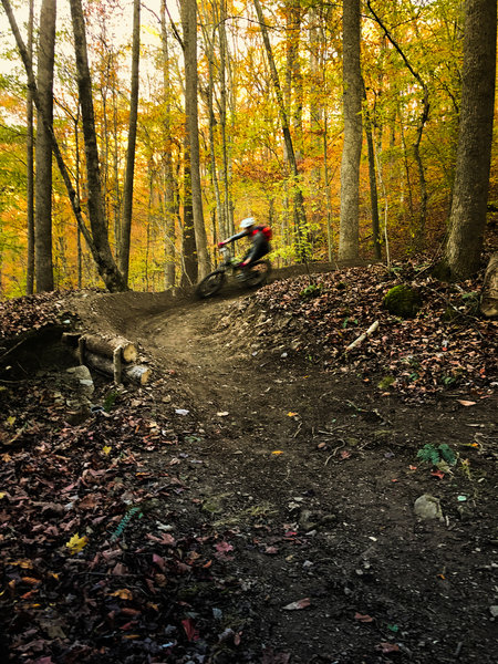 Fall foliage around Fern Gully.