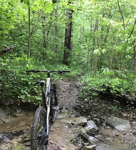 Creek crossing after a spring shower on the Lodgeview Trail.