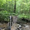 Creek crossing after a spring shower on the Lodgeview Trail.