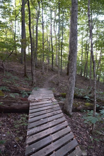 A tidy ladder bridge on Lodge View.