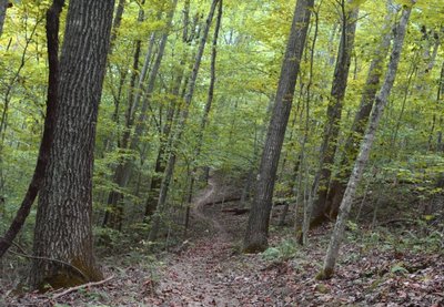 Mikie's section of The Bluff.