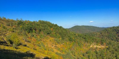A long view toward Dewey Lake from The Escalator trail.