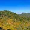 A long view toward Dewey Lake from The Escalator trail.