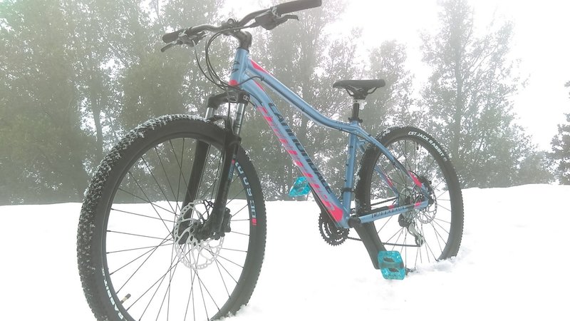 snow rides here are AWESOME! just call baldy visitor center first to make sure Glendora mountain road is open!