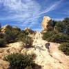 Corral Canyon Park, Malibu.